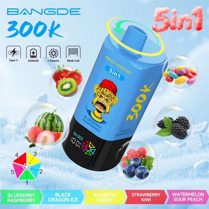BANG DE 5 U 1 300K