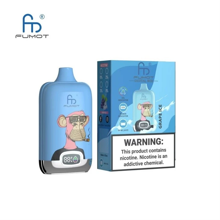 Najkvalitetniji RandM Digital Box 12000 Puffs Wholoesale Vape