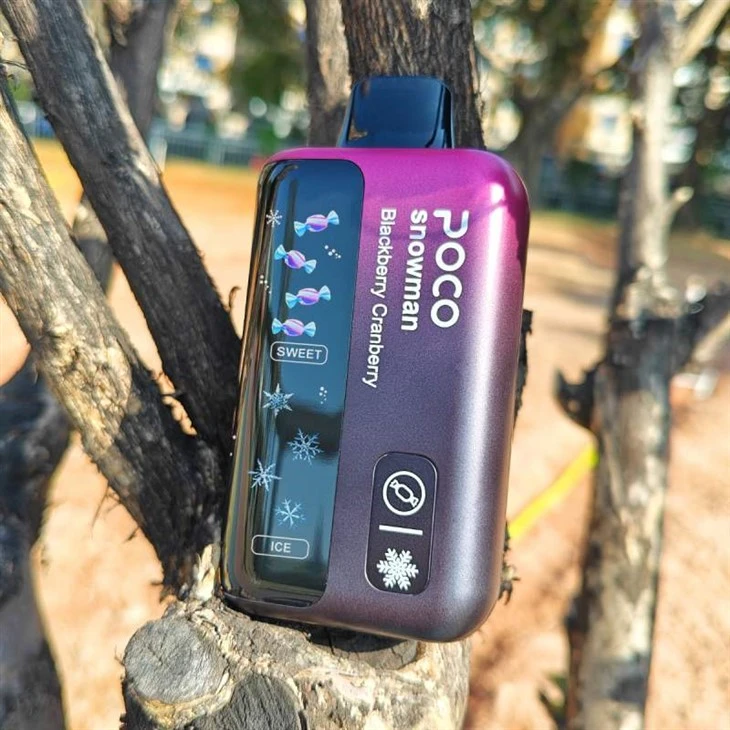 POCO SNJEŽIĆ 70000 PUFFS