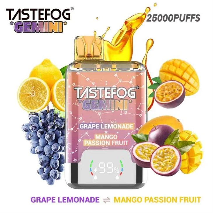 Tasteetog Gemini 25000 Puffs