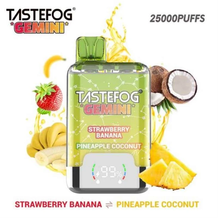 Tasteetog Gemini 25k